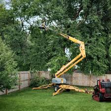Best Hazardous Tree Removal  in Shelton, NE