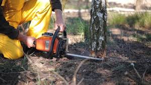 Best Aeration Services  in Shelton, NE
